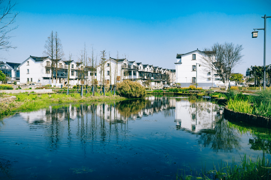 解决脏乱差创造洁净美张浦镇环境整治三年行动见成效