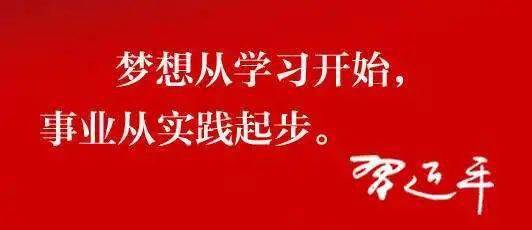 学习强国梦想从学习开始事业从实践起步