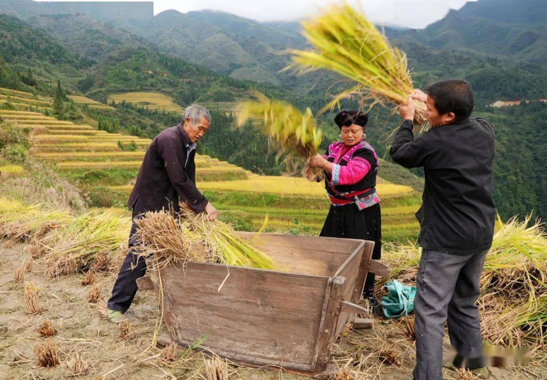 割割割割割割割割割割割割割割割割割割