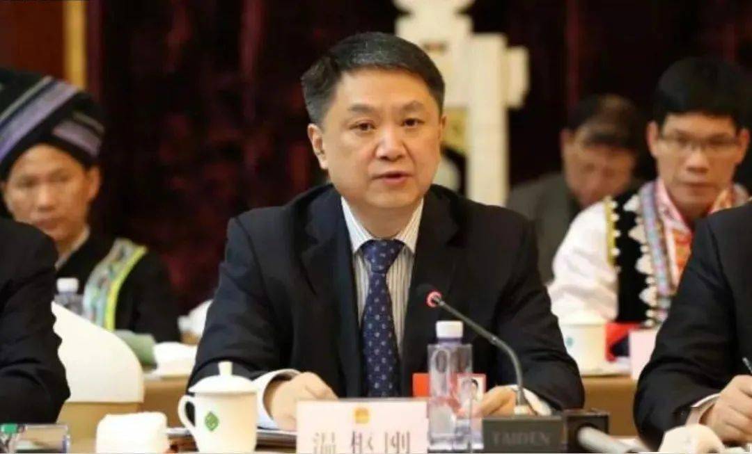 2020年9月7日,任命国家能源集团原董事,党组副书记张国厚为中国华电