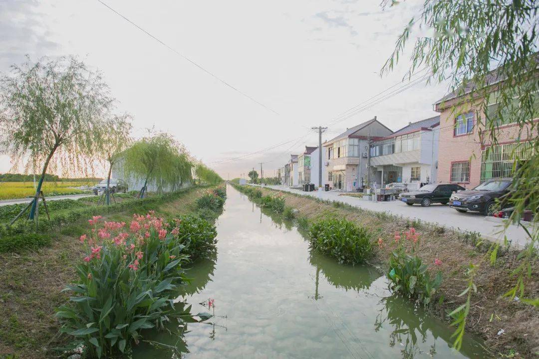 美在生态富在产业根在文化新寺村的美丽蜕变在这里