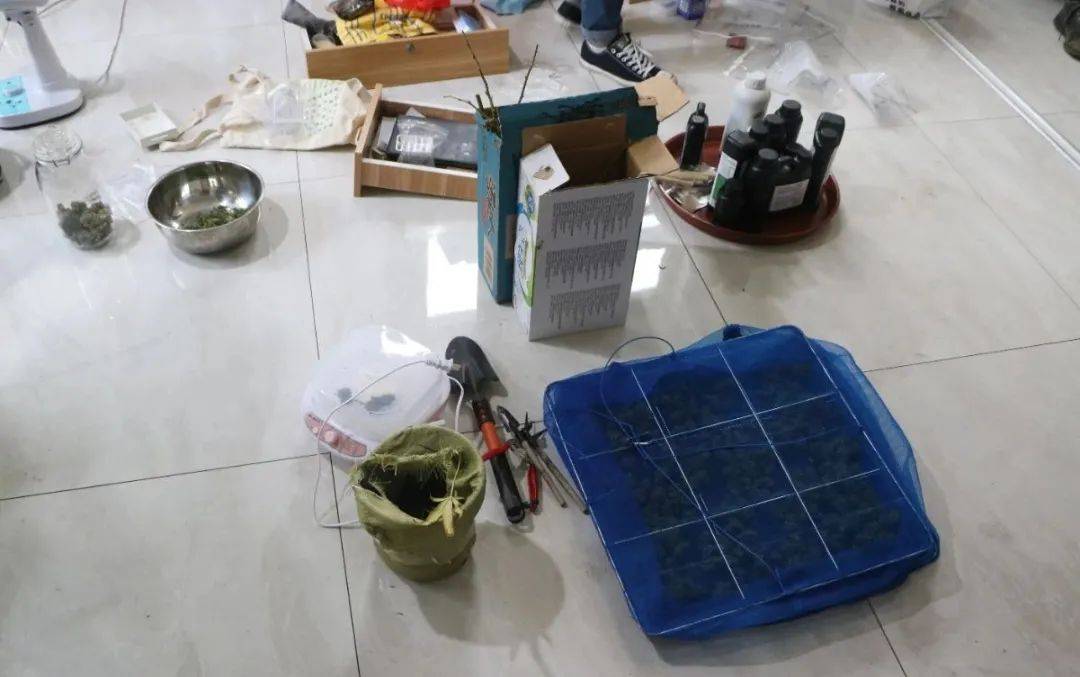 杀虫剂,晒网,风扇,磨烟器,卷烟纸等种植,加工,吸食毒品大麻的工具一宗