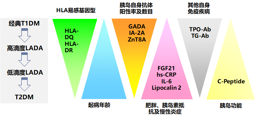 糖尿病的分型研究進展五分類