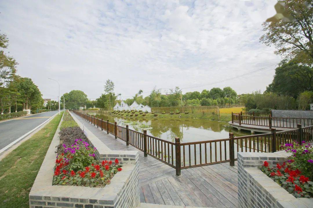 美在生态,富在产业,根在文化,新寺村的美丽蜕变在这里