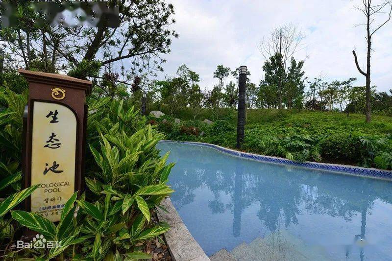 铜梁龙温泉,三角梅基地一日游,仅需68元/人