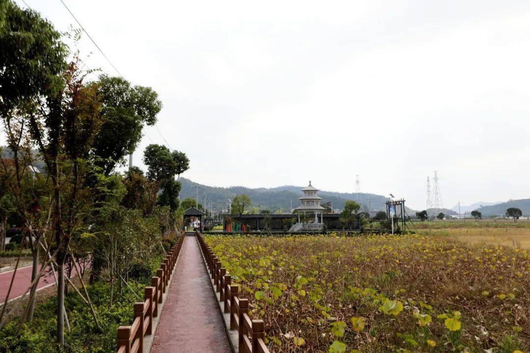 大溪镇沈岙村:千年古村的幸福密码
