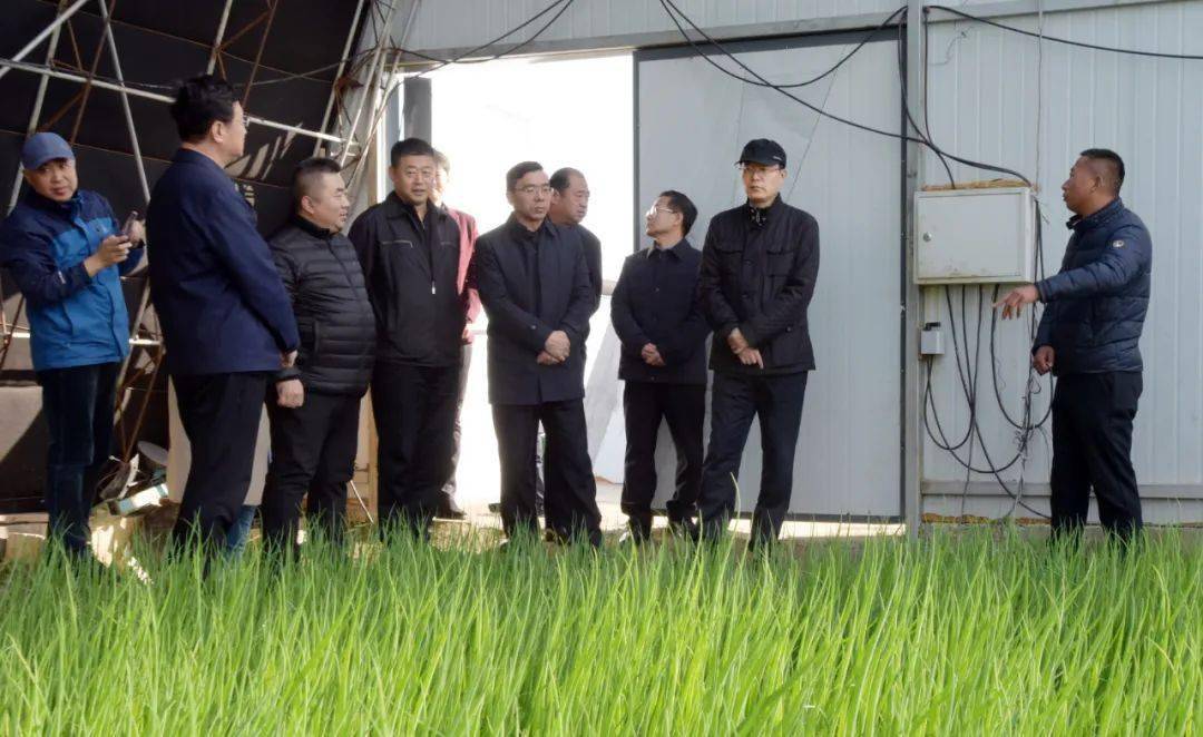 959【时政】市长于洪涛在深入鸡冠区滴道区鸡东县调研农业农村工作时