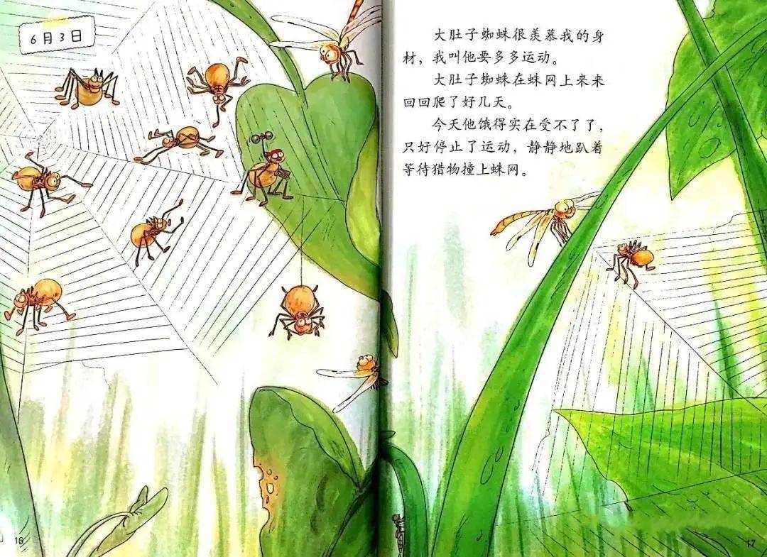 约绘袋鼠第86期蜻蜓的日记