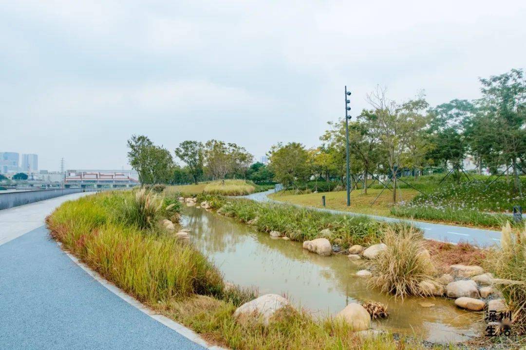 神仙颜值曝光宝安茅洲河碧道开园啦还能邂逅水上花海