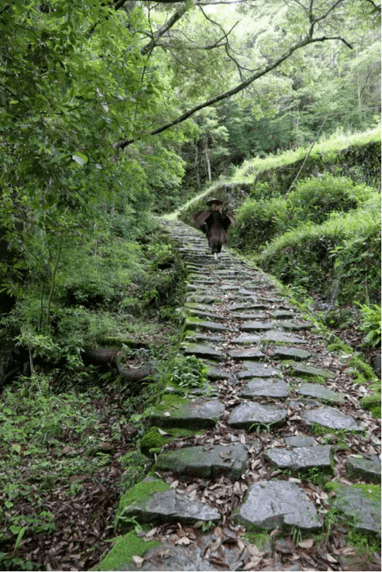 约跑醉美茶盐古道,感受秋日闽东风情 2020屏南茶盐古道村庄越野赛今日