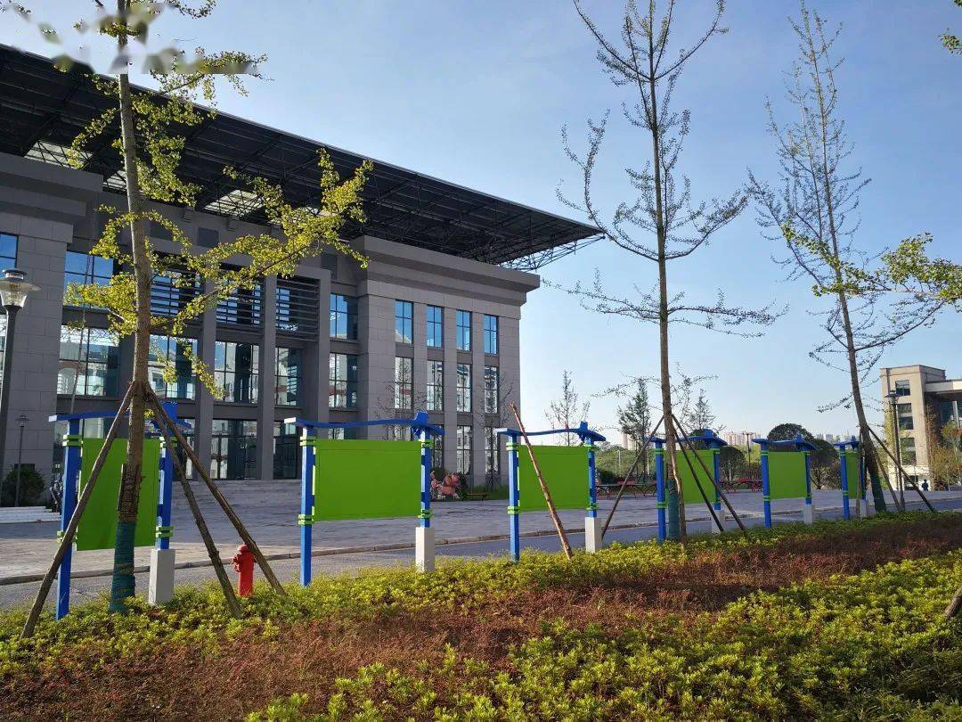 泸县天立小学2021年教师招聘公告