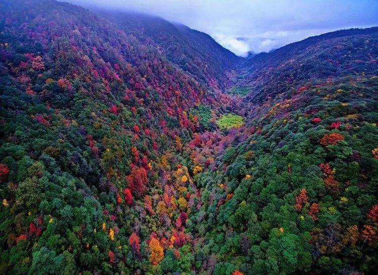 来炎陵五彩谷吧这里是湖南秋天最美的地方