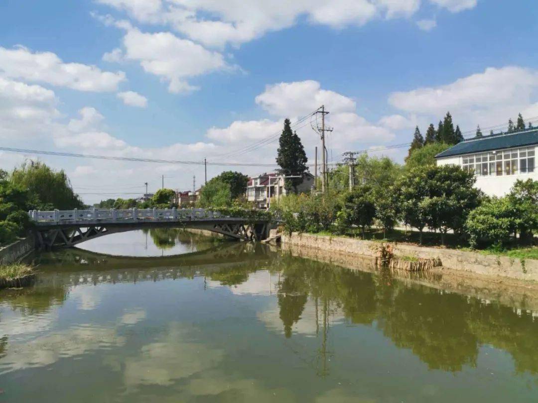 谢立新:风涛万里,只因扬中西来桥_西来桥镇