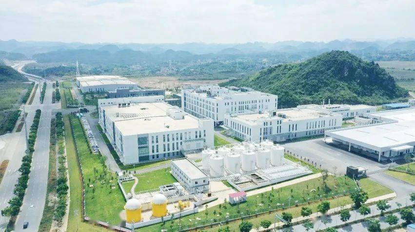 七花筑梦走进云南白药文山七花公司