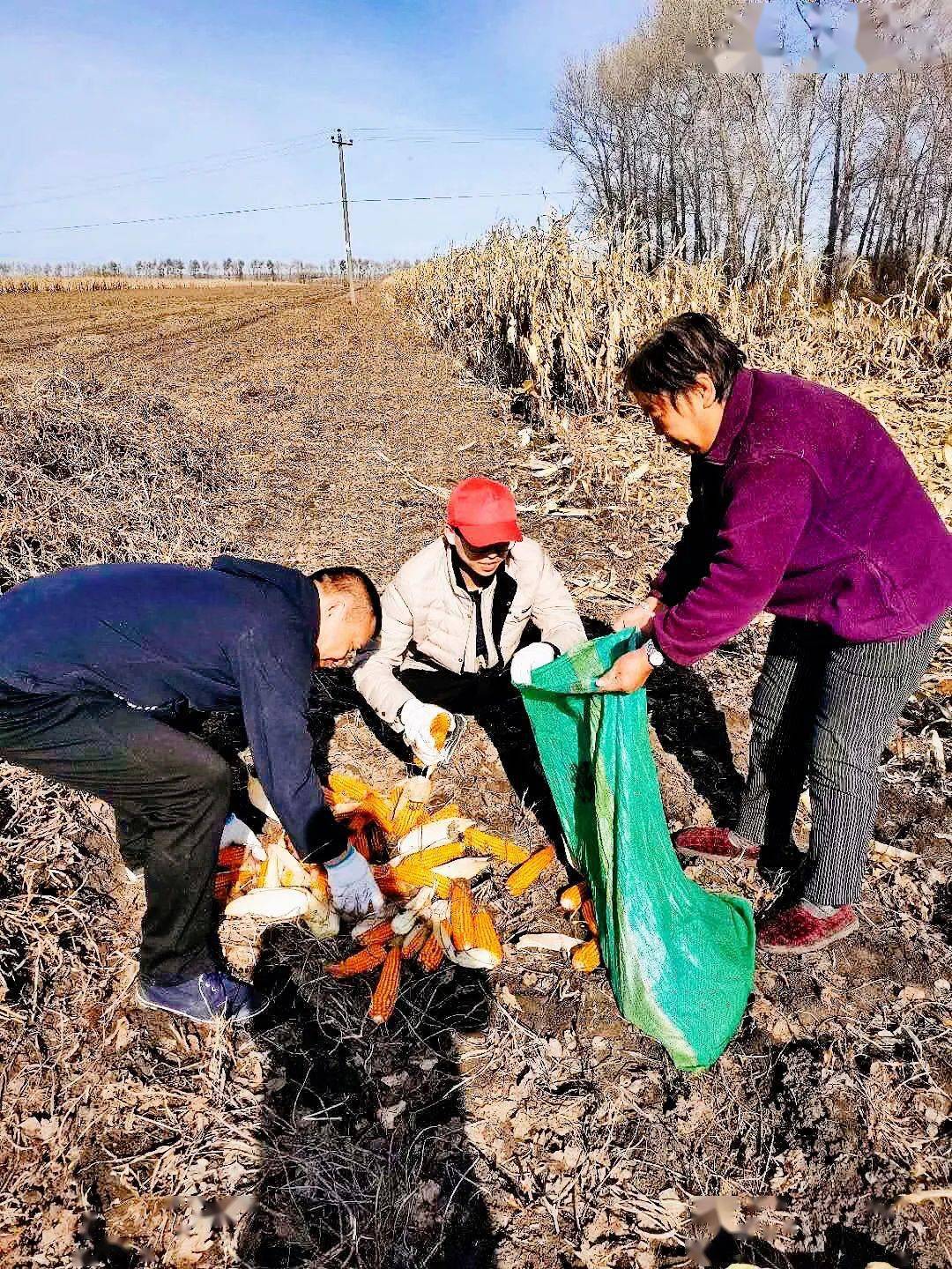 讷河李凤全我爱家乡的颜色与味道