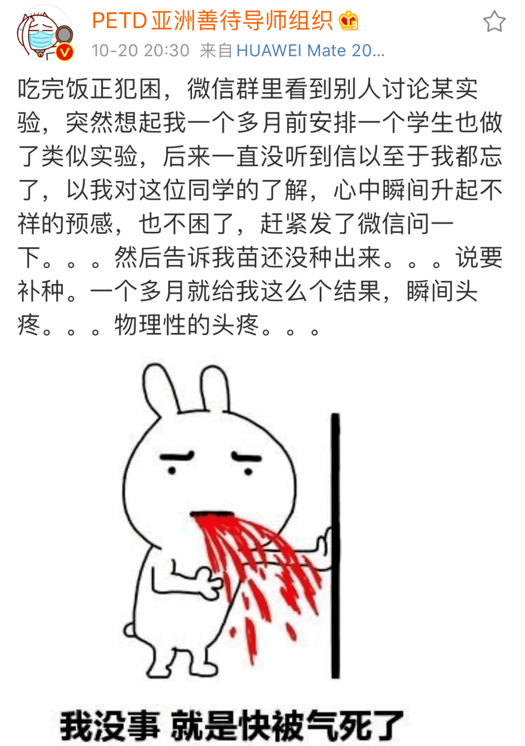 论导师是如何被气到内伤的