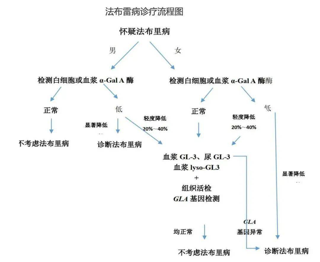 门诊来了不明原因心肌肥厚患者这类疾病你想到了吗