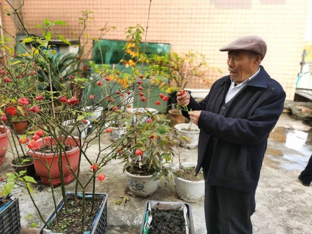 八旬养花人花儿就是我的伴儿