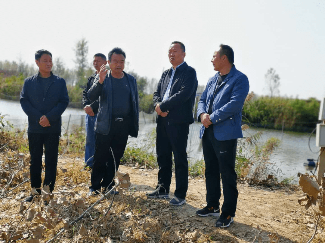 亳州市调研渔业发展情况 推动水产绿色健康养殖_利辛县