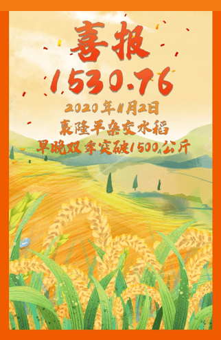 喜报亩产3000斤袁隆平再创新纪录