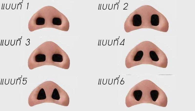 鼻孔竟然也有大学问来看看泰国人眼中关于面相的玄学