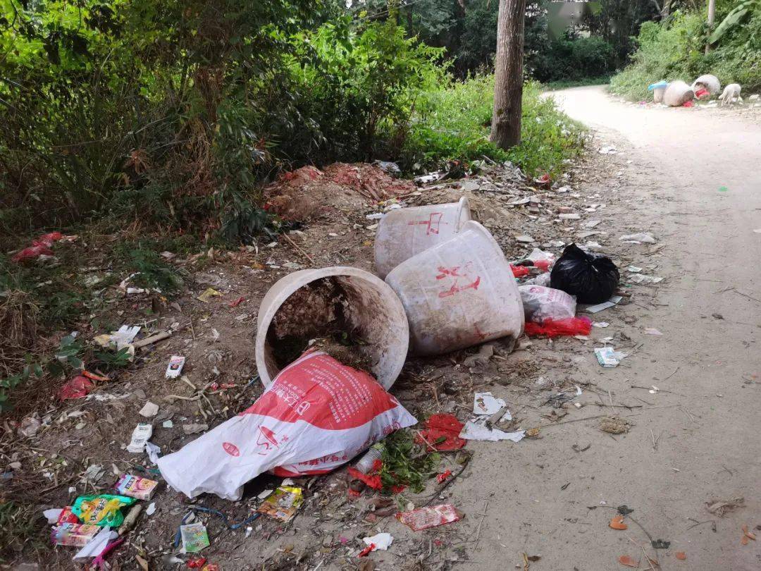 博白文地这个村垃圾成"灾",村民们苦不堪言