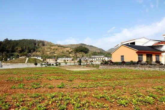 衛浴產業 文旅產業,新農村建設等 活動現場圖片 與會人員在竹山寶豐