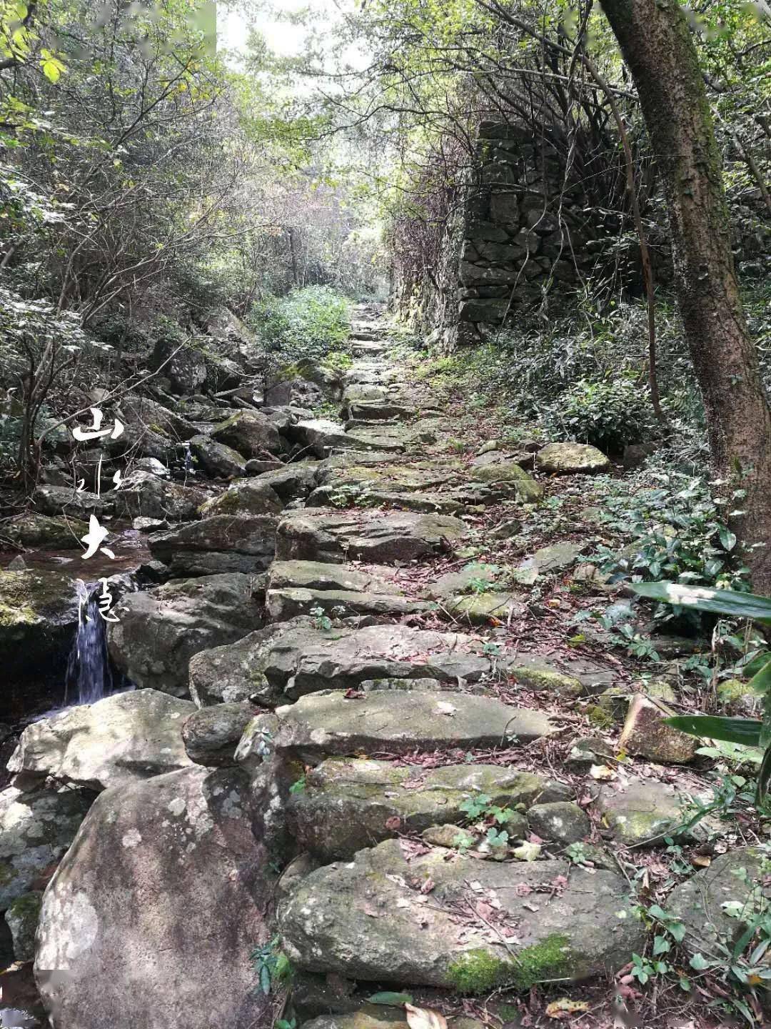 那花那草那古道那溪那潭那水庫深秋了相約爬山去吧