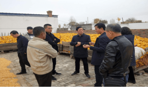 省局农村处来榆调研农业生产形势_榆阳区