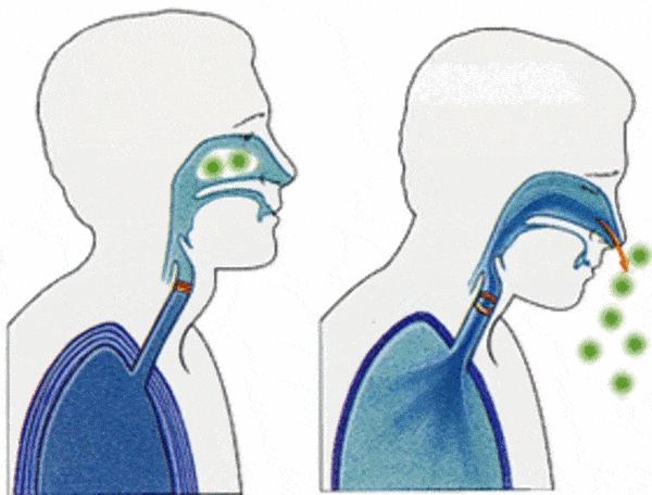 鼻塞,流涕,鼻炎,但凡鼻部问题,必得艾灸终结!