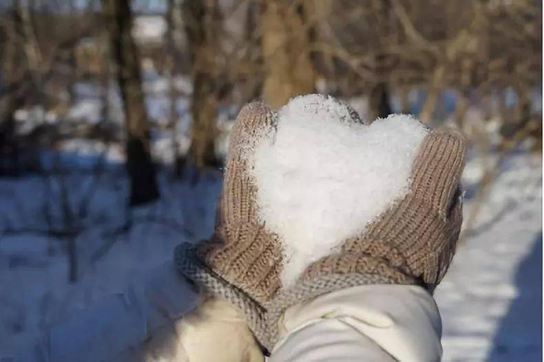 【担雪塞井/挑雪填井】