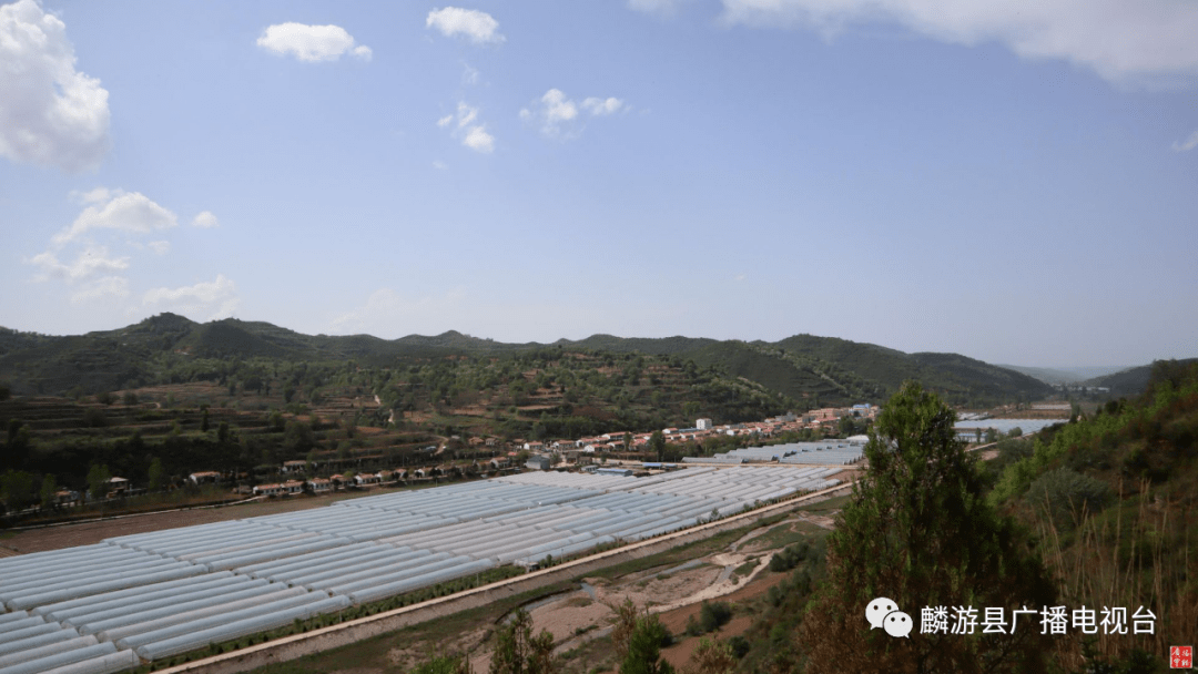 陕西麟游酒房镇被农业农村部认定为"一村一品" 示范镇