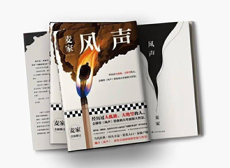 经典再读丨麦家风声