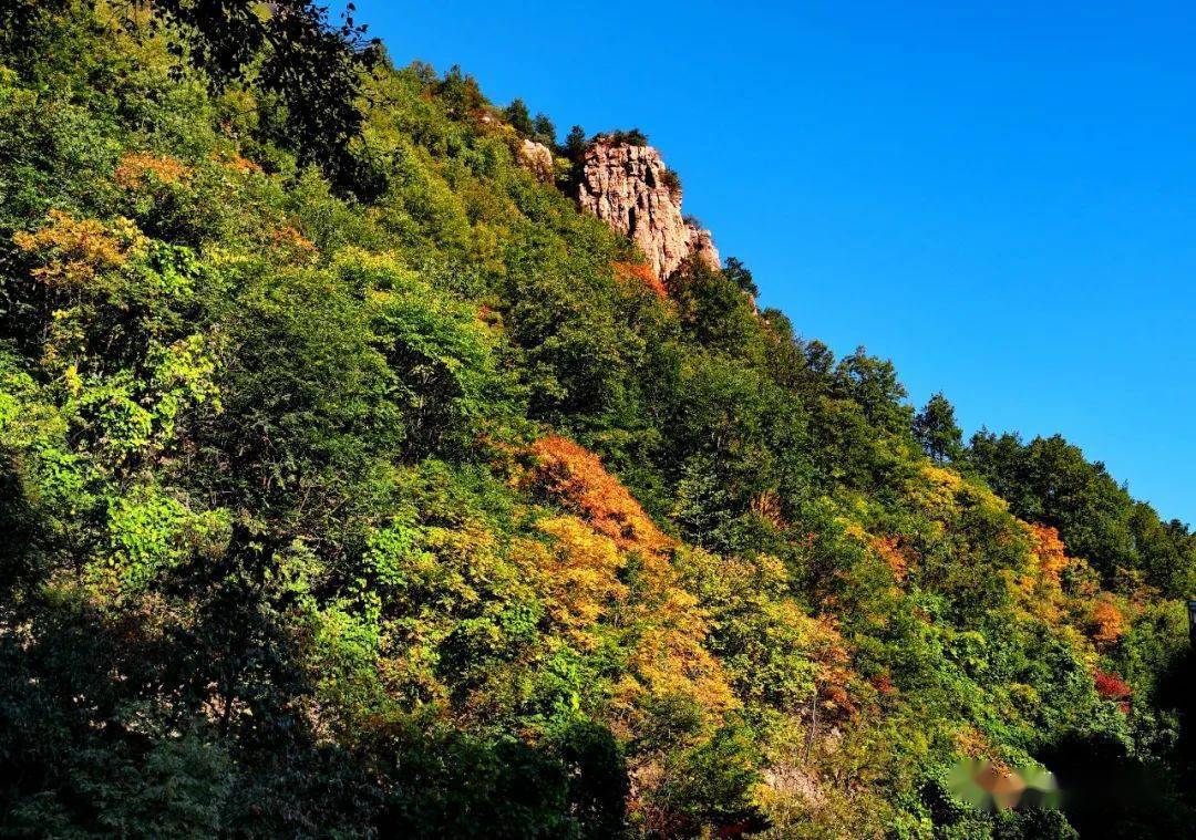 左权县紫金山图片