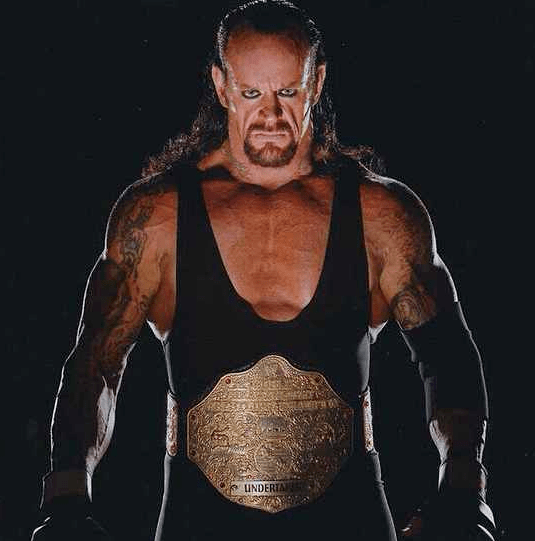 在wcw经历了一段令人难忘的时光后,马克·卡拉威(mark calaway)来到了