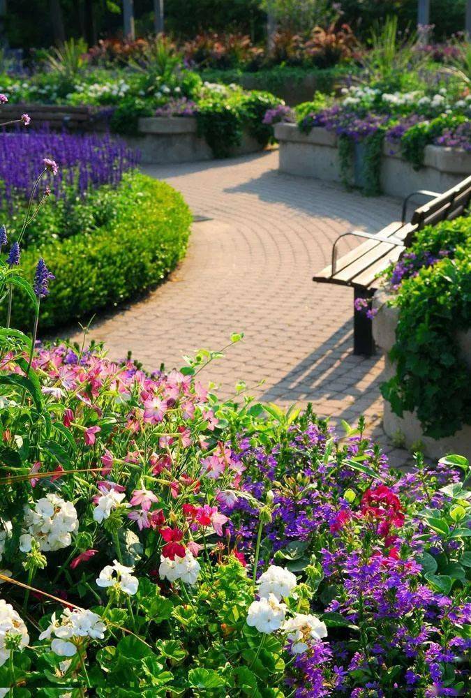 在莎莉花园里世界上最美的旋律没有之一