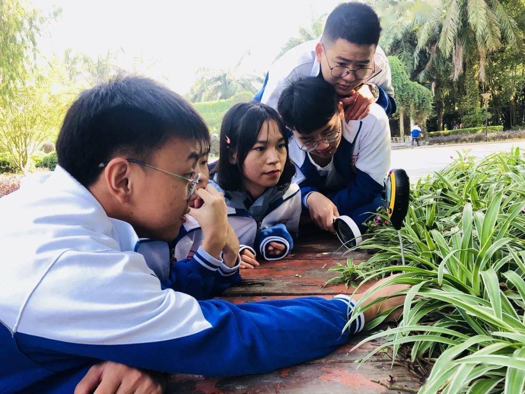 长泰二中高三年东南花都研学实践活动|魅力花都 燃动青春