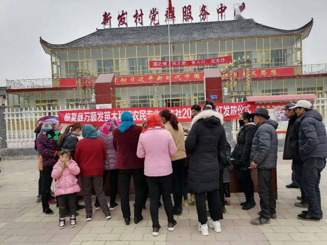 走向我们的小康生活临夏县尹集镇新发村71户农户喜领合作社红包15万元