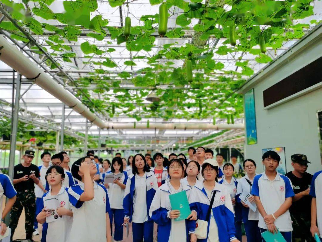 长泰二中高三年东南花都研学实践活动|魅力花都 燃动青春