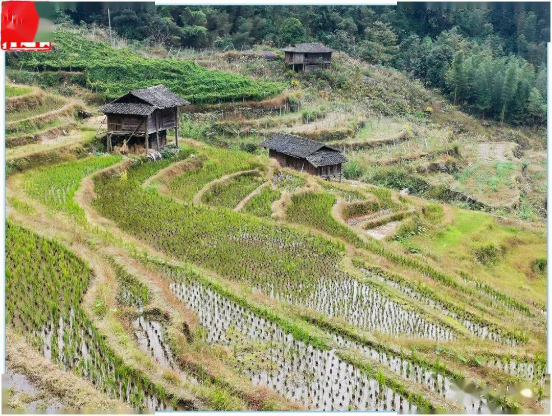 宛田龍海,一個印記濃濃鄉愁的山村_手機搜狐網