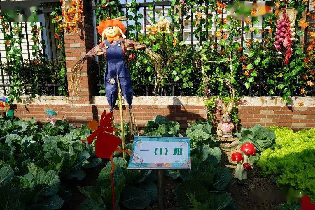 开心农庄之我的菜地我做主菜地创意布置
