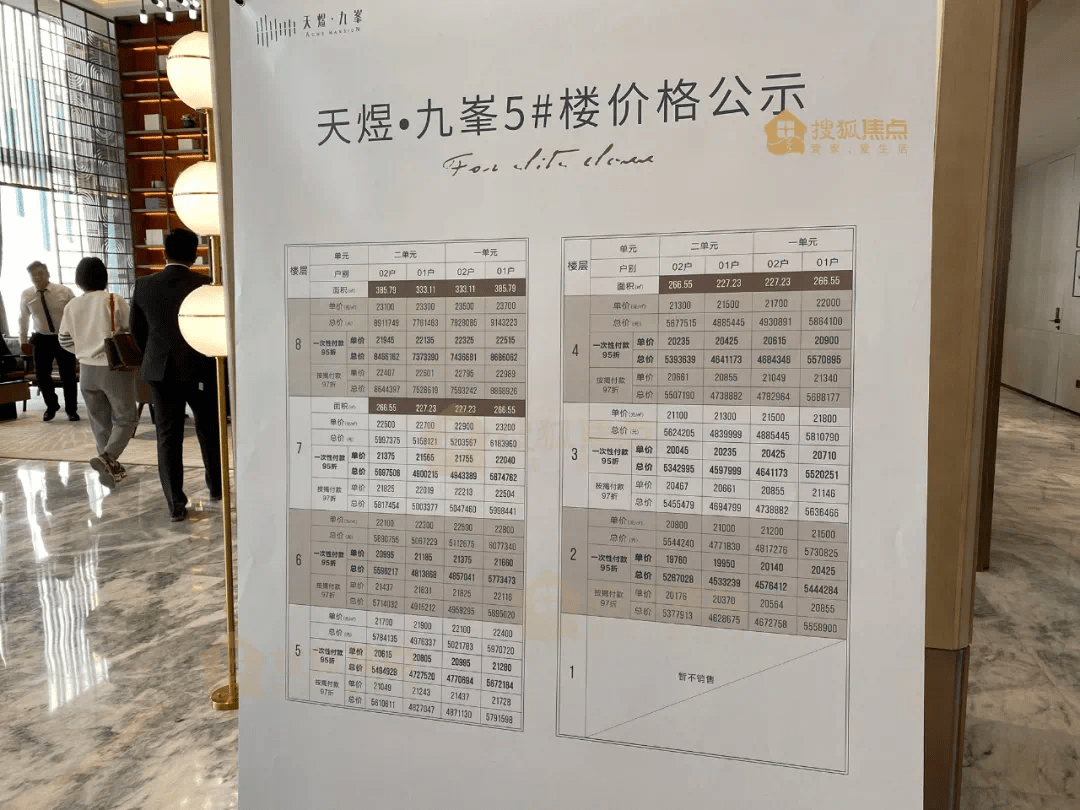 67富豪盛宴去化过半今天新区豪宅天煜九峯开盘