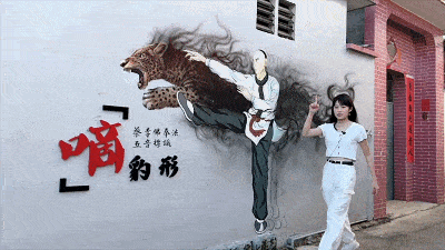 一巷学功夫一巷留乡愁江门这条村太惊艳了看完想去逛逛