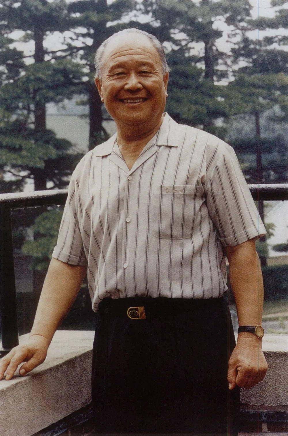 拳象:朴茂参天,内外无垠—杨振铎先生千古!