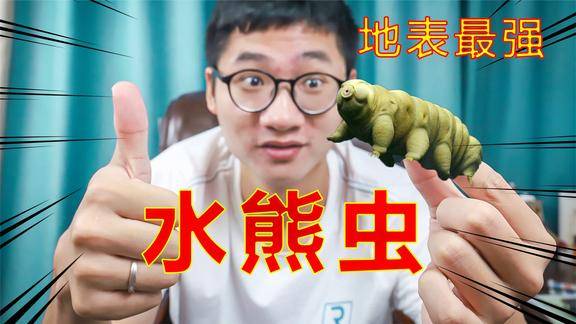 杀不死的水熊虫是何方神圣放大500倍把我看呆了