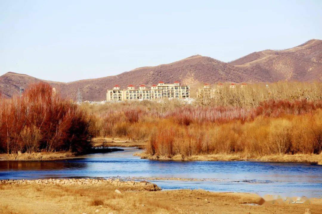 雅鲁河大坝--火红娇艳!_扎兰屯