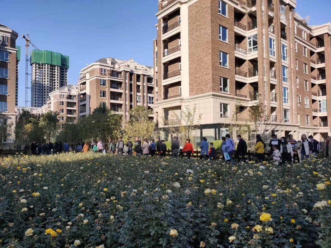 东方府教师专场宣讲会圆满落幕,本次宣讲会共邀请了焦作近千名教师