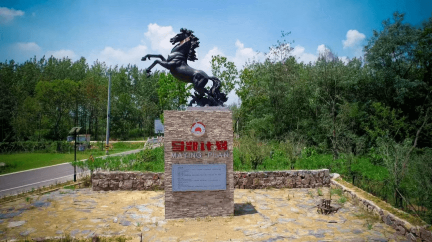 真过劲长丰马郢又一项目获全国一等奖