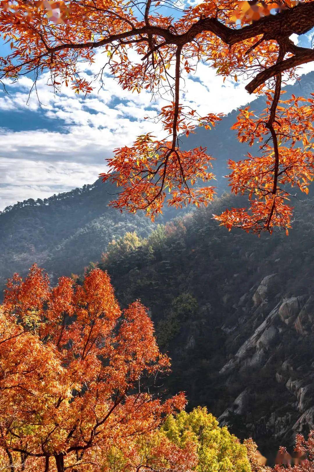 秋染泰山大峡谷