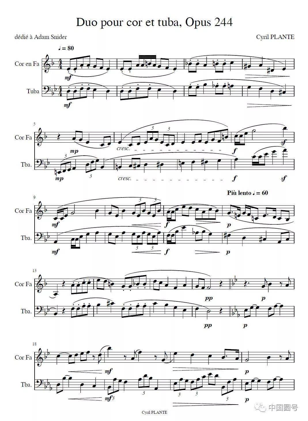 tg95 圆号大号二重奏 (植物·西里尔)_手机搜狐网